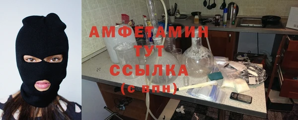 крисы Верея