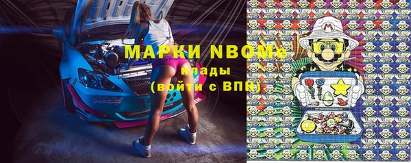 крисы Верея