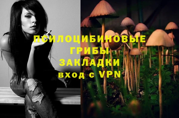 бошки Протвино